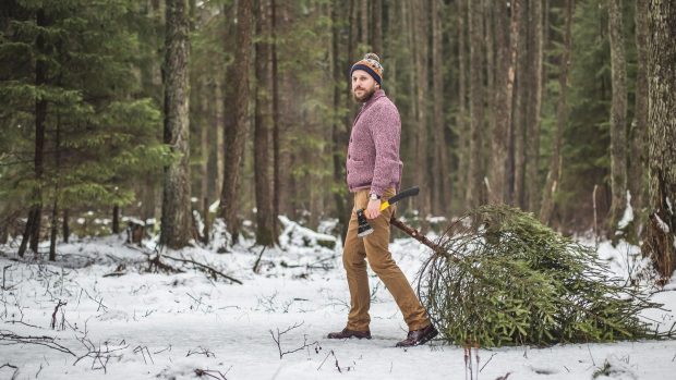 Muž krade v lese vánoční stromek | Foto: Profimedia