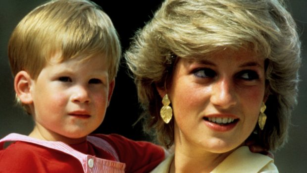Harry a princezna Diana na snímku z roku 1987