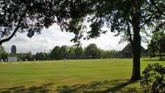 Kriketové hřiště v Cambridgi