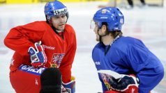 České hokejisty čeká na Švédských hrách Finsko