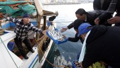Libye, Tunis, Itálie. Uprchlíci dostávají ryby na ostrově Lampedusa.