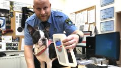 pes s čipem městská policie