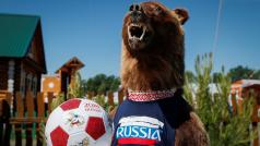 Vycpaný medvěd s fotbalovým míčem v ruské Kazani