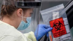 Pracovnice v Kalifornii přebírá sebetestovací vzorky na určení nákazy koronavirem
