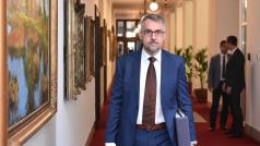 Ministr vnitra v demisi Lubomír Metnar (za hnutí ANO).