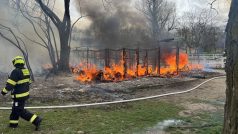 Požár stájí na Císařském ostrově, při kterém zemřelo osm koní