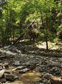 Povodně poničily i národní park v Krkonoších - bývalá Honzíkova cesta