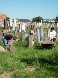 Holešovský židovský hřbitov čistí osm zahraničních studentů z pěti států.