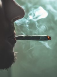 joint - marihuana