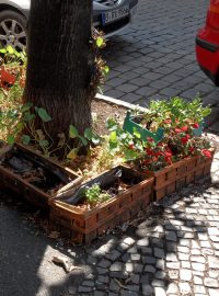 Street gardening zvelebuje záhonky ve veřejném prostoru (ilustrační foto)