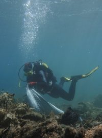 Potápěči při akci vytrhávali modré, černé a žluté tašky zamotané kolem útesů.