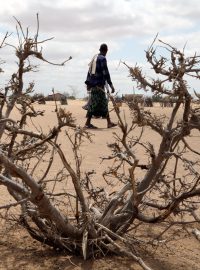 Smrtící past způsobená kombinací klimatické změny  a ozbrojeného konfliktu mění život v některých částech Somálska na zápas o přežití