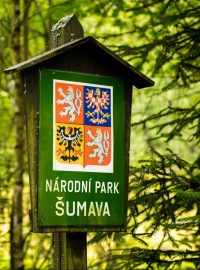 Národní park Šumava (ilustrační foto)