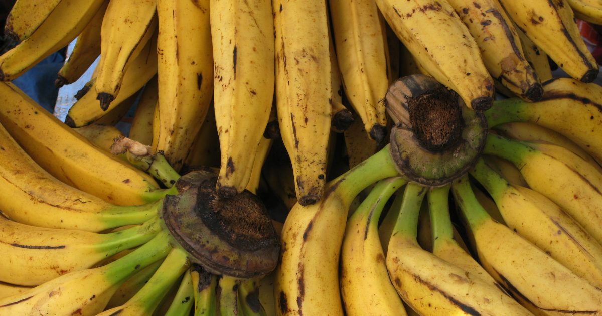 Soukup: Ekvádor prodal sovětskou vojenskou techniku do USA, Moskva se mstí skrze banány