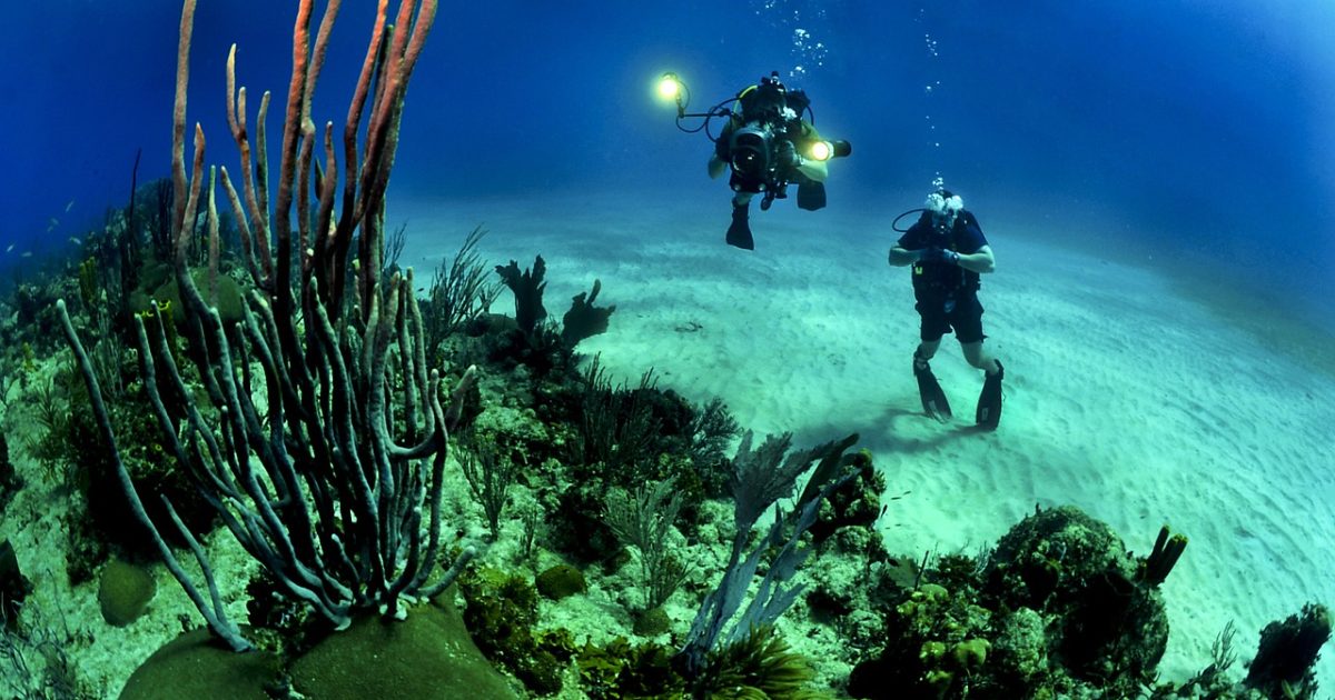 Korálové útesy po celém světě podle vědců blednou kvůli oteplování