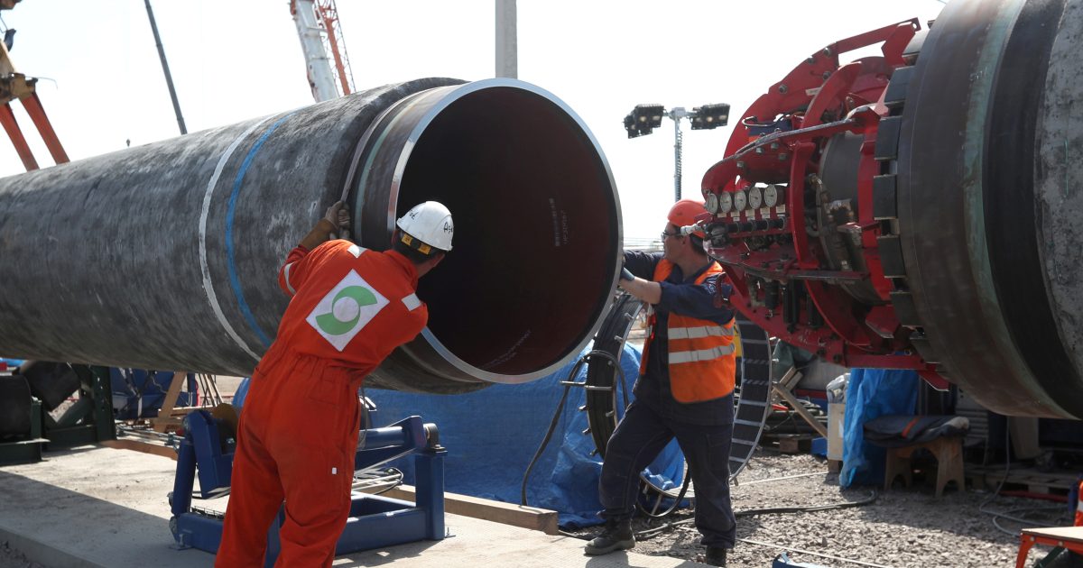 In Moskau gebe es nach der Bundestagswahl Panik, aber Nord Stream 2 werde in Betrieb genommen, sagt der Experte.  ZUCHT