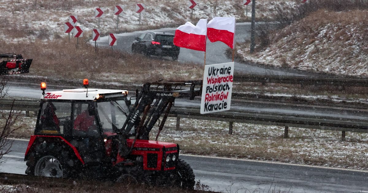Polsko bude zemědělcům kompenzovat nízké ceny obilí. Způsobil je levný dovoz z Ukrajiny