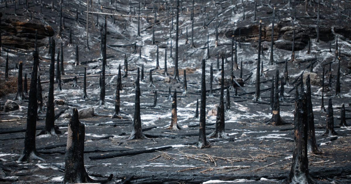 Hřensko beschränkte den Einsatz von Feuerwerkskörpern.  Reaktion auf Brände in benachbarten Nationalparks |  iRADIO