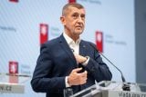 Babiš vložil akcie Agrofertu do RSVP Trust. Věří, že dostál nárokům práva pro střet zájmů