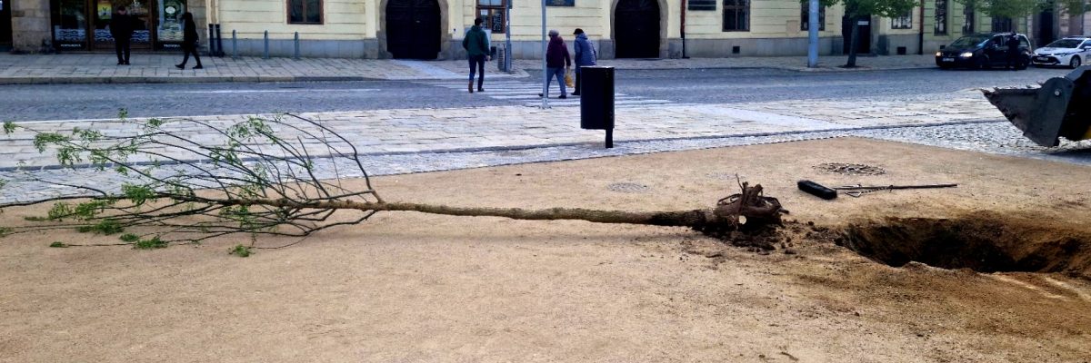 Jerlínům se na jihlavském náměstí příliš nedaří
