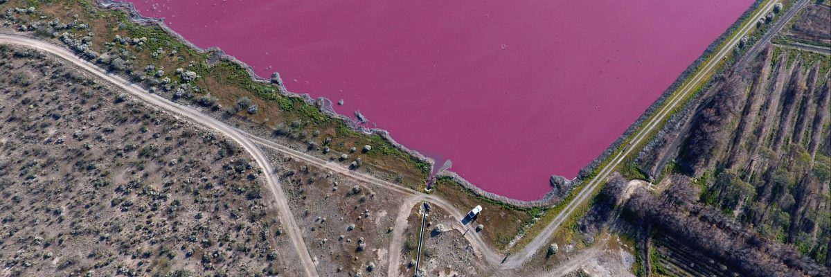 Dvě jezera v Argentině náhlé zrůžověla