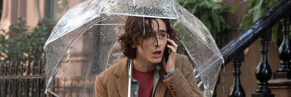 Tmothée Chalamet ve filmu Deštivý den v New Yorku