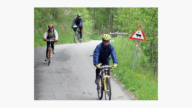 cyklisti sjíždějí po asfaltové cyklostezce