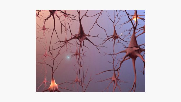 Mozkové neurony