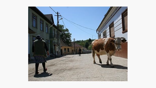 Na cestě do Jabuky (Bosna a Hercegovina)