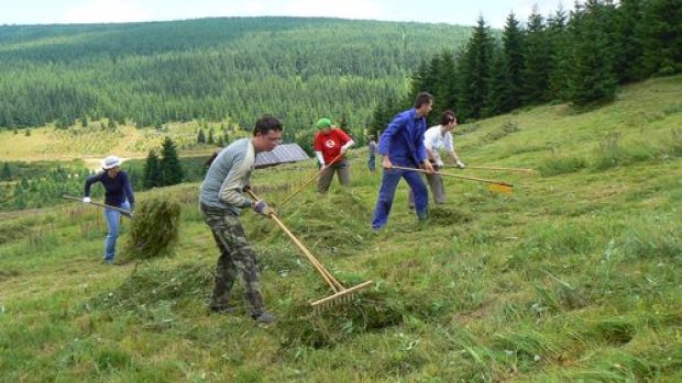 Dobrovolníci hrabou pokosenou Upolinovou louku v PR Bukovec