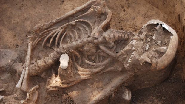 Lidská kostra z mladší doby bronzové nalezená při rekonstrukci vozovky v Terronské ulici v Praze 6