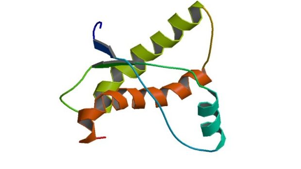 Prionový protein (PRNP)