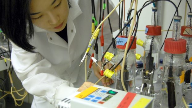 Dr. Hana Yi kontroluje mikrobiální palivové články