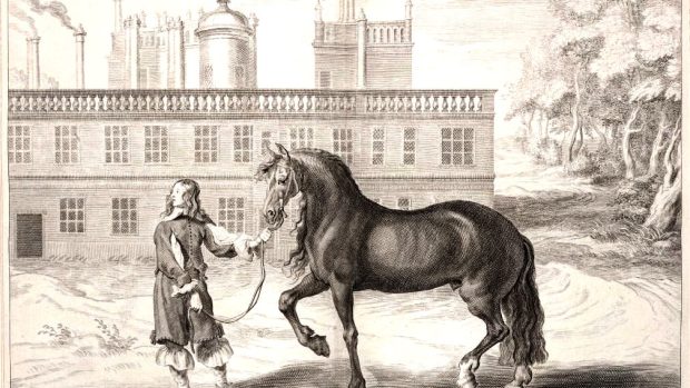Iberský kůň na dobové ilustraci (Abraham van Diepenbeeck, 1743)