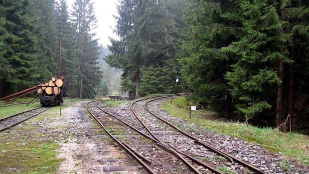 Lesní železnice