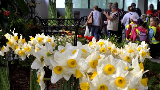 V Olomouci začala výstava a veletrh Flora Olomouc