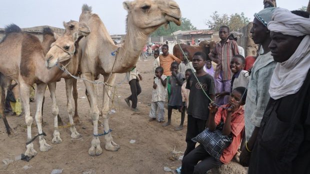 Sever Nigérie