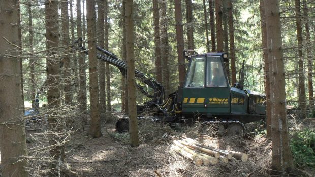 Harvestor je výkonný stroj na kácení dřeva