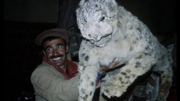 Afghánský horal nabízí českým novinářům vycpaného sněžného leoparda.jpg