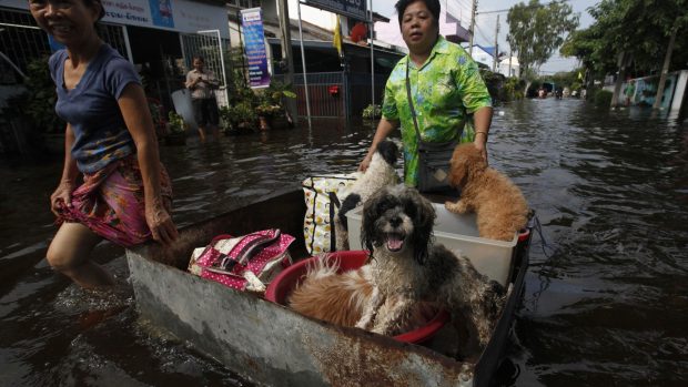 Lidé v Bangkoku opouštějí kvůli záplavám své domovy