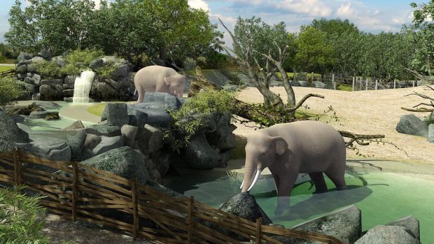 Návštěvníci budou moci navštívit budoucí areál pro slony