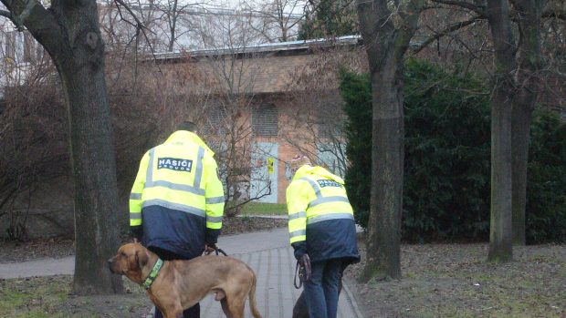 Psovodi pátrají v jednom z kolínských parků po pohřešovaném chlapci
