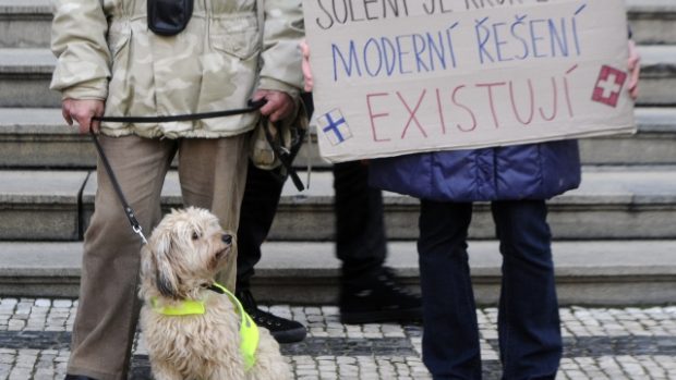 Psi za doprovodu svých majitelů protestovali před pražským magistrátem proti solení chodníků v zimních měsících