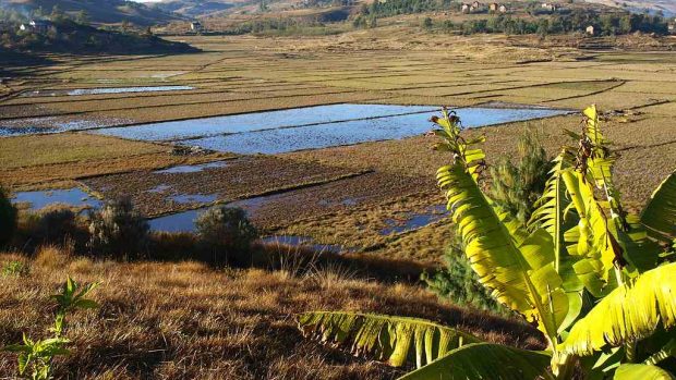 Madagaskar - Ilustrační foto