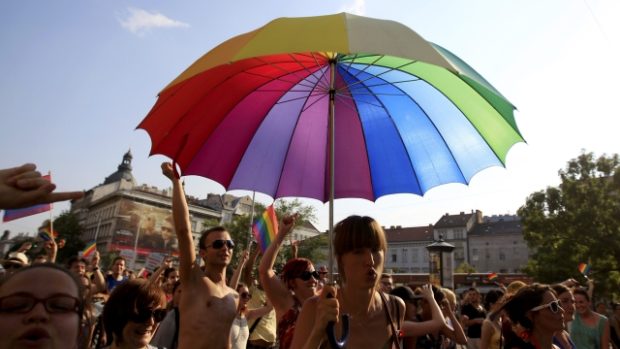 People take part in the annual gay / queer pride  parade in Budapest July 7, 2012