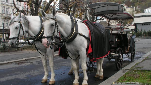 Karlovy Vary si mohou návštěvníci prohlédnout z kočáru taženého koňmi