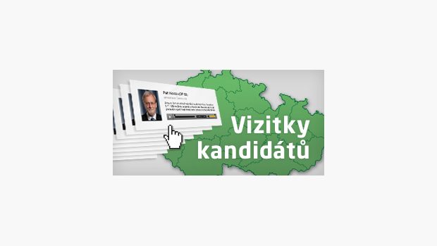Vizitky - volby 2012