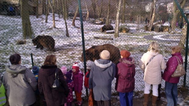 Berounští medvědi z večerníčků slaví třinácté narozeniny