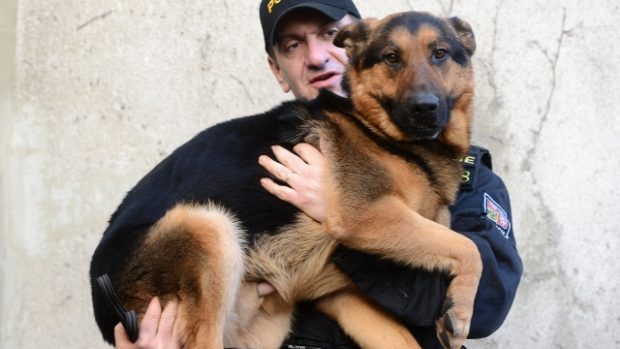 Policejní kynolog Libor Valečko se svým psem Ramsesem převzal 20. března v Praze cenu ankety Statečné psí srdce. Anketa oceňuje hrdinské činy psů, které vedou k záchraně lidského života.
