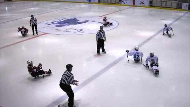 Čeští sledge hokejisté při vítězném zápase s Norskem